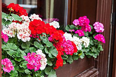 《怪物猎人 崛起 曙光》发布新任务  